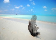 Cayo Largo 