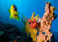 Cayo Levisa 