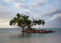 Cayo Levisa 