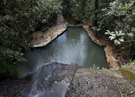 Colo-I-Suva : la remarquable réserve naturelle de Suva