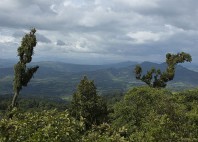 Esteli 