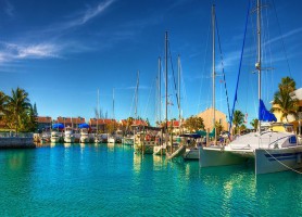 Grand Bahama : une magnifique île des Bahamas