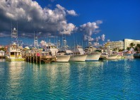 Grand Bahama 