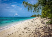 Grand Bahama 