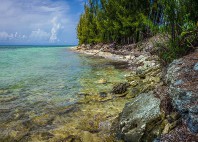 Grand Bahama 