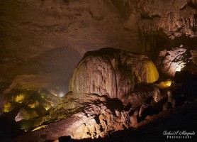 Grottes de Rio Camuy : le majestueux paradis souterrain