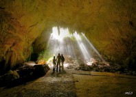 Grottes de Rio Camuy 