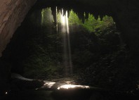 Grottes de Rio Camuy 