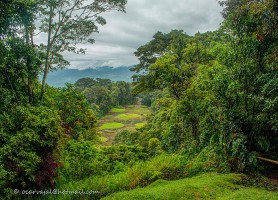 Guayabo : de captivants vestiges préhistoriques