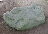 Guayabo 