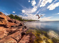 Hanko 