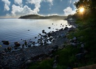 Hanko 