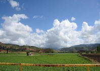 Jarabacoa 