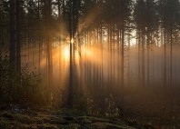 Lac Saimaa 