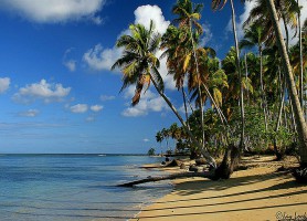 Las Terrenas : un petit coin au charme naturel