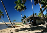 Las Terrenas 