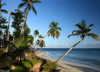 Las Terrenas 