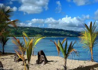 Las Terrenas 