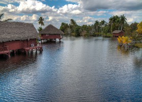 Marais de Zapata : une des merveilles naturelles du Cuba