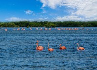 Marais de Zapata 