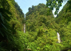 Parc national de Morne Trois Pitons : un fascinant site
