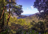 Parc national de Morne Trois Pitons 