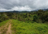 Namosi Highlands 