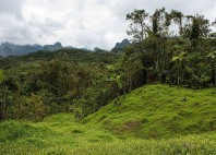 Namosi Highlands 