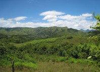 Navala 