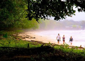 Parc national Cahuita : paradis entre plage et jungle