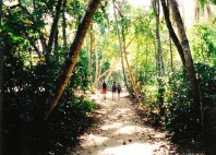 Parc national Cahuita 