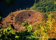 Parc national El Boqueron 