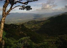 Parc national La Tigra : une réserve de rêve