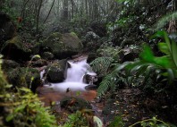 Parc national La Tigra 