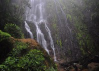 Parc national La Tigra 