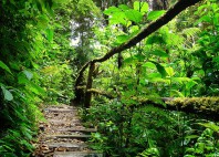 Parc national La Tigra 