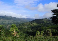 Parc national La Tigra 