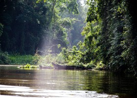 Parc national de Tortuguero : une merveille naturelle