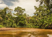 Parc national de Tortuguero 