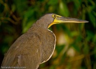 Parc national de Tortuguero 