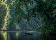 Parc national de Tortuguero 