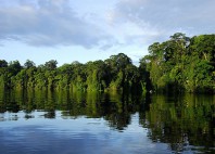 Parc national de Tortuguero 