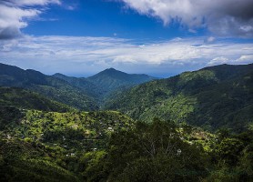 Parc national des Blue Mountains : un merveilleux enclos