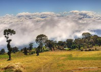 Parc national du volcan Irazú 