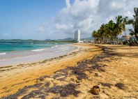 Plage de Luquillo 
