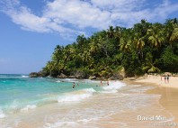 Playa Punta Cana 