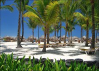 Playa Punta Cana 