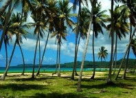 Playa Rincón 