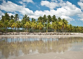 Playa Samara : découvrez cette plage exceptionnelle