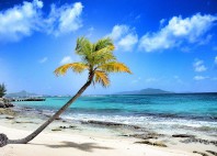 Saint-Vincent-et-les-Grenadines 